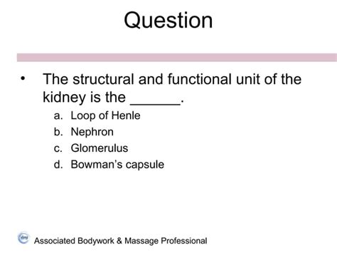 Urinary Flash Cards Ppt