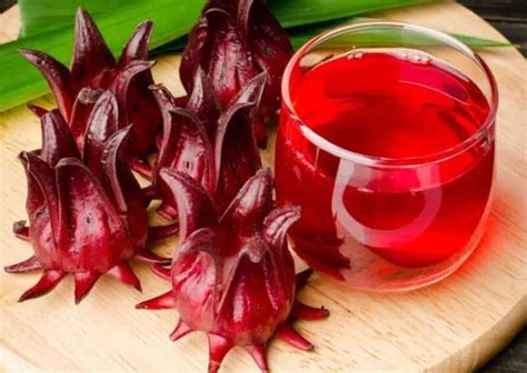UTM Scientists Formulate GluCut: A Roselle Extract Supplement to ...