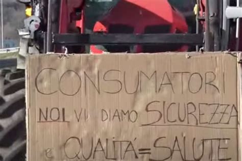 Protesta Degli Agricoltori Le Ragioni Della Rivolta E Le Richieste Al