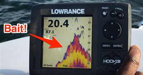 How To Read A Fish Finder To Find The Best Live Bait VIDEO