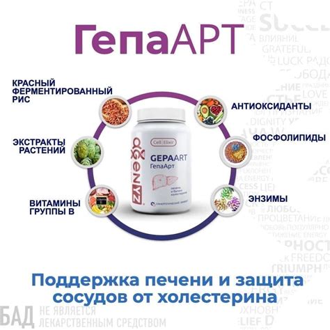 Адженис (AGenYZ) продукция для здоровья