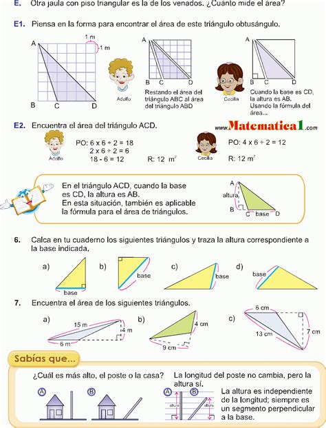 El Área Del Triangulo Ejemplos Resueltos De Cuarto De Primaria Pdf