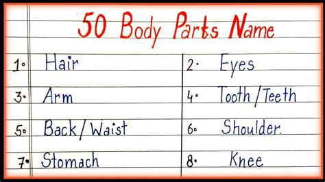 50 Body Parts Name || Parts Of Body Name In Hindi And, 53% OFF