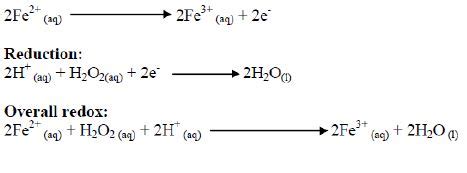 Oxidation Of Iron Ii Salts By H O And Terms Used For Describing