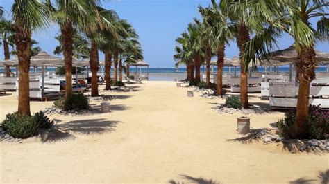 Amwaj Beach Club Abu Soma Resort Soma Bay Alle Infos Zum Hotel