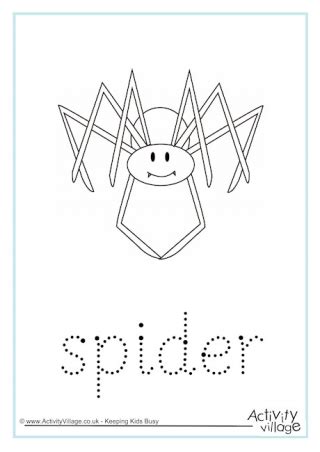 Spider Worksheets