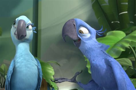 Image - Jewel-and-blu-in-RIO.jpg - Angry Birds Wiki - Wikia