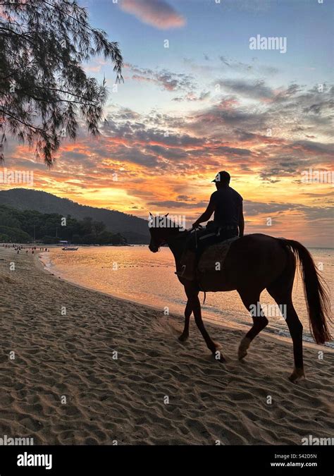 Sunset Horse Riding Stock Photo - Alamy