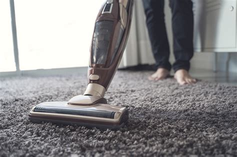 How Often Should You Clean Your Carpet A Quick Guide Lovetoknow