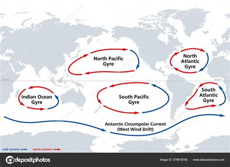 Major Ocean Gyres World Map Most Notable Ocean Gyres Flowing Stock ...