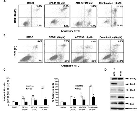 Figure From Induction Of Noxa Sensitizes Human Colorectal Cancer