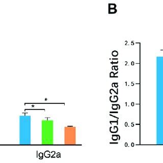 Comparison Of Serum Antibody Levels Of Immunized Mice Among The