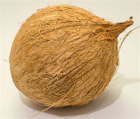 B Grade Whole Husked Pollachi Coconut Coconut Size Medium At Rs Kg