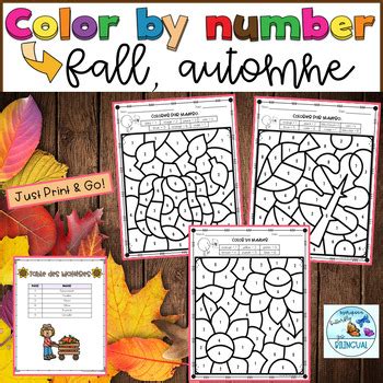 Color By Number Fall English French By Insight Butterfly TPT