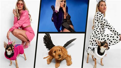 Matching Halloween costumes for you and your dog: from Legally Blonde ...