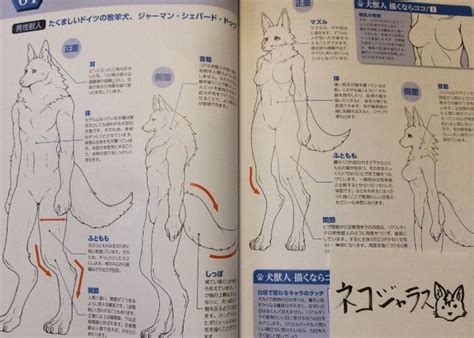 「獣人（ケモノ）の描き方」の評価と感想 ケモノ大好きクラブ