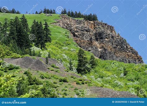 华盛顿山荒地远山 库存照片 图片 包括有 横向 峭壁 庭院 峰顶 峡谷 级联 冷杉 关闭 283029550