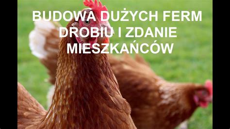 Odcinek 1019 BUDOWY DUŻYCH FERM DROBIU W POLSCE I NA UKRAINIE CO NA TO