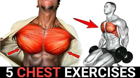 5 Effective Chest Exercises With Dumbbells Youtube