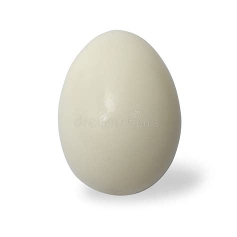 Hard Boiled Peeled Chicken Egg Sliced In Half Cut Out Isolated Stock