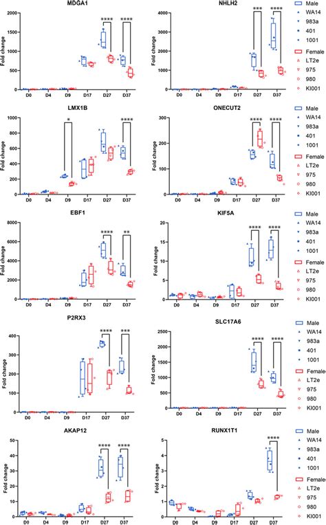 Frontiers Sex Biased Gene Expression During Neural Differentiation Of