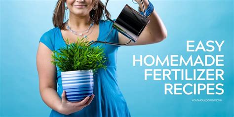 Boost Your Harvest With Homemade Fertilizers - You Should Grow