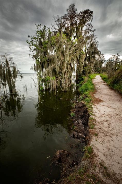 Alligator Alley Trail Now Open At Circle B