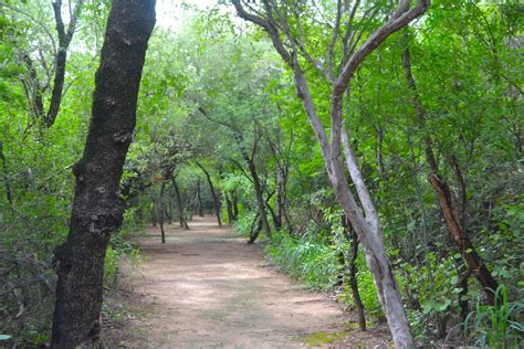 The Chaco Region Trico Tours