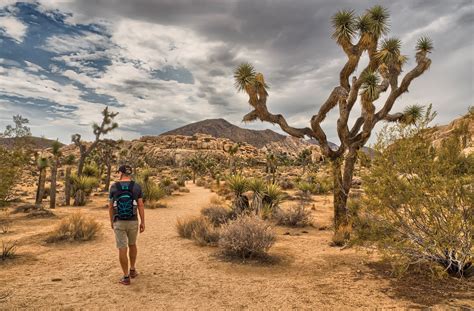 Stay, Eat, Do: Palm Springs Desert | Leader's Edge Magazine