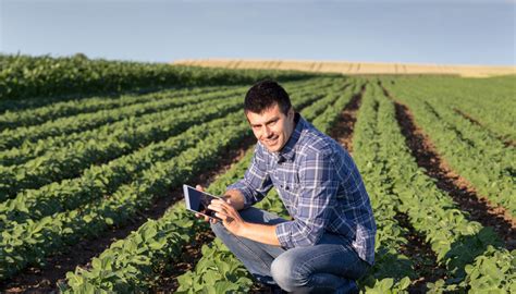 Agricultura Digital Plantando O Futuro Tecnologia