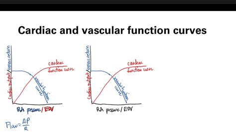 Starling, Cardiac And Vascular Function Curves | Cardiovascular system ...