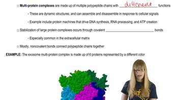 Complex Protein Structures | Channels for Pearson+