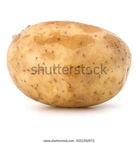 New Potato Tuber Isolated On White Stock Photo 1032382072 | Shutterstock