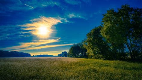 Himmel Sonne Wolken Gras Felder Bäume 1920x1200 Hintergrundbilder