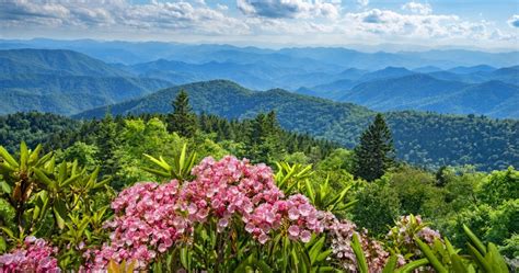 Discovering The Beauty Of The Blue Ridge Scenic Highway A Scenic Drive