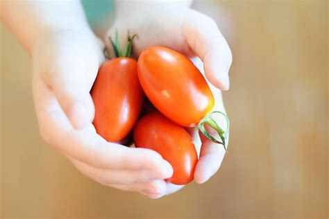 How To Freeze Roma Tomatoes