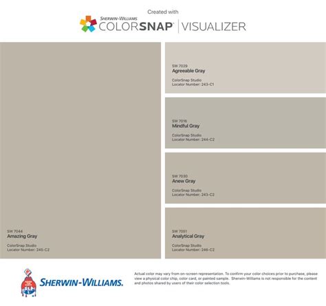 The Colorsnap Visualizer Is Shown In Gray And White With Different Shades