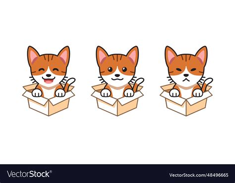 Cartoon set of tabby cat showing Royalty Free Vector Image