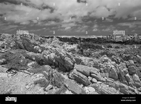 Rugged And Bleak Coastline At Cape Agulhas The Southern Most Point Of