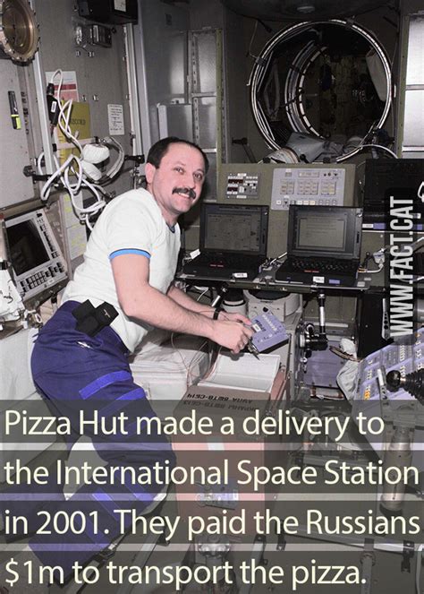 » Pizza in space