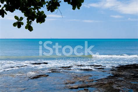 Sunny Landscape Stock Photo | Royalty-Free | FreeImages