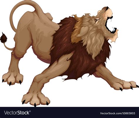 Angry Lion Is Roaring Royalty Free Vector Image