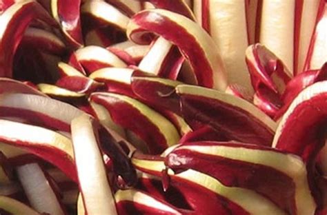 Mostra Del Radicchio Rosso Tardivo A Martellago Ve Anteprima Sagre