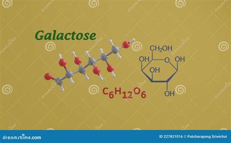 Galactose Gal Monosaccharide Chemical Structure Vector Illustration