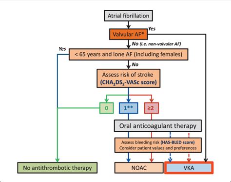 Atrial Fibrillation Esc Guidelines