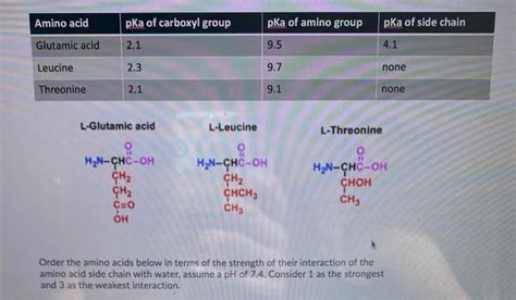 Solved Amino acid pKa of carboxyl group pka of amino group | Chegg.com 