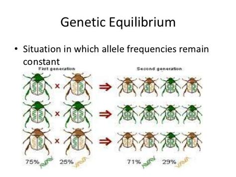 Biology 16 2 Evolution As Genetic Change 1