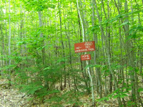 Baldpate Mt. - Foster Pond Lookout, South Bridgton, Maine