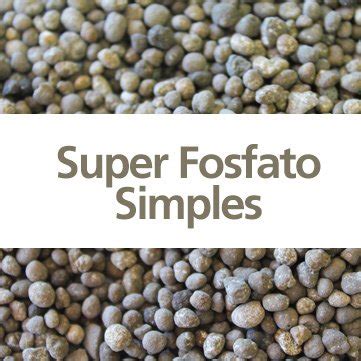 Super Fosfato Simples Timo Para Enraizamento Kg