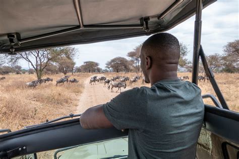 Safari Lake Manyara Tarangire Serengeti And Ngorongoro Crater Or